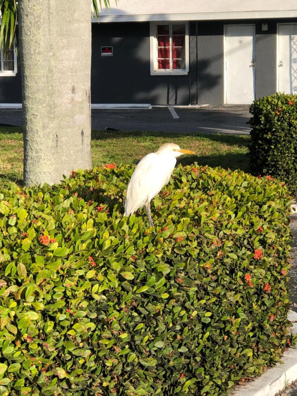 Bay Breeze Inn Bradenton Downtown Luaran gambar